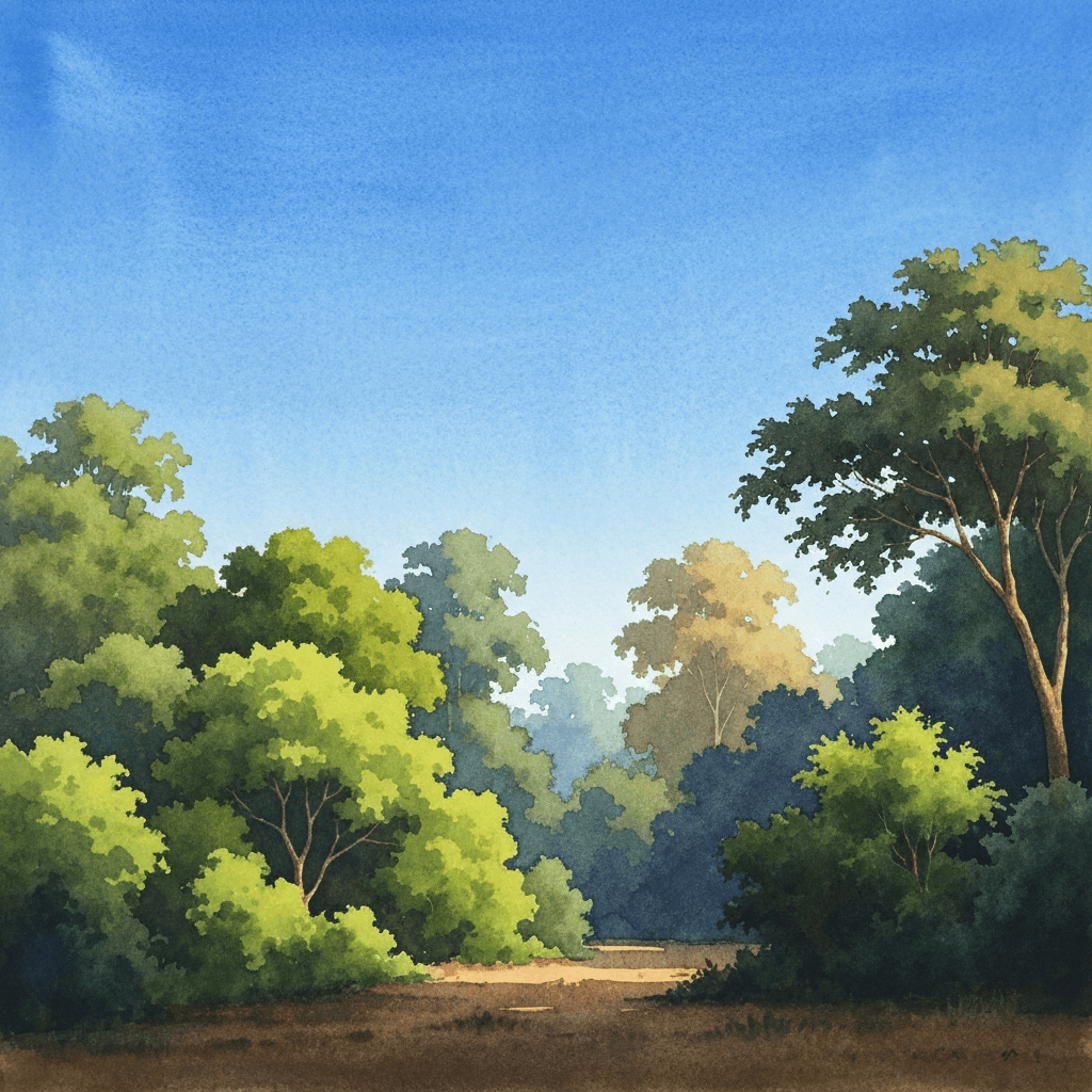 clear sky